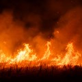 Buktinja u Petrovaradinu: Izgorela velika površina rastinja i otpada