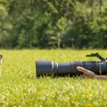 Svojevrsna foto Nojeva barka: Napravio arhivu fotografija 18.000 životinjskih vrsta