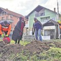 Urbanim ozelenjavanjem do čistijeg Niša: 25 novih stabala lišćara doprinosi unapređenju životne sredine kroz projekat…