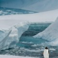 „Spektakularne“ skrivene strukture otkrivene duboko ispod Antarktika