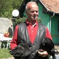 E,: ovo su zlatne koke! Mujo iz Novog Pazara čuva najskuplje kokoške na svetu: Komad jedne ide i do 2.500 dolara, a njihov…
