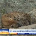 Ovo su novi stanovnici Beo Zoo vrta FOTO/VIDEO