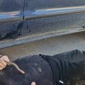 (Video) Vladica iz Mercedesa izvukao ogromnu zmiju! Poznati zmijolovac iz Srbije na Đurđevdan imao težak zadatak, a onda je…