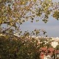Promenljivo oblačno sa kišom i pljuskovima, temperatura do 28 stepeni