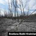 'Zaledite se i nemoćni ste': Deliblatska peščara u plamenu, požari haraju Srbijom i BiH