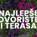 Grad i „Čistoća“ objavili nagradni konkurs „Najlepše dvorište i terasa na teritoriji Zrenjanina“ Zrenjanin -…