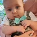 Devetomesečnu bebu odnela voda kada je auto sleteo u reku: Telo našli posle nekoliko dana, roditelji preživeli