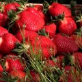 Belgija, pronađene visoke vrednosti insekticida u jagodama iz Srbije