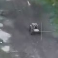 Ukrajinski ''Ljut'' krenuo u lov na Ruse: Razara sve što mu se nađe na putu, dron robot zapucao iz teškog mitraljeza! (video)…