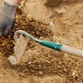 Žabe iz drevnog perua: Arheolozi otkrili figuricu koju je napravila drevna civilizacija