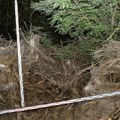 (Foto) ovde je pronađeno telo muškarca koji je nestao u julu: Ubio ga zet, šok u malom mestu blizu granice sa Srbijom