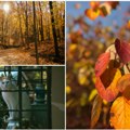 Od sutra pozno miholjsko leto Oglasio se RHMZ! Evo šta nam donosi početak novembra u Vojvodini ovog dana se očekuje kiša
