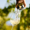 Ne utiče samo količina alkohola na zdravlje i dužinu života, već i vrsta koja se pije