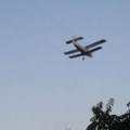 Borba protiv komaraca: U utorak avio-zaprašivanje u Požarevcu