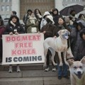 Južna Koreja zabranila farme pasa i prodaju njihovog mesa, konzumacija i dalje dozvoljena