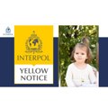Potraga za Dankom: Zašto je žuta poternica Interpola važna