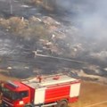 Požar u okolini Bora pod kontrolom