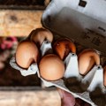 Organska proizvodnja jaja dvostruko štetnija za životnu sredinu od klasičnog uzgoja
