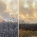 Požar kod Kladova: Vatrena stihija se širi ka kućama