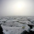 Crne slutnje naučnika: Arktik bi tokom sledećih godina mogao da ima dane Bez leda?! Otkriveni rezultati istraživanja