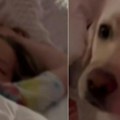 Pas odvukao roditelje kod ćerke u sobu Čim su je videli pozvali su doktora (video)