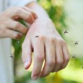 Da li sapun može da spreči ujede komaraca – ključ je u jednom sastojku