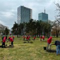 MOL Serbia posadila više desetina stabala u beogradskom parku “Ušće”