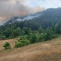 Vatra guta veliki pojas četinara Požari izbili i na teritoriji Bijelog Polja! Pomoć u gašenju stizala i iz vazduha zbog…