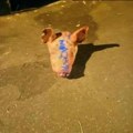 "Kupili su od mene svinjske glave": Farmer iz Normandije svedočio o Srbima koji su terorisali ljude u Parizu, snimile ih…