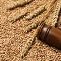 Preokret na Produktnoj berzi: Cene soje uzletele, pšenica i ječam usporavaju