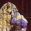 Jeziv prizor u ruskom cirkusu: Tigar iskočio iz arene u publiku VIDEO