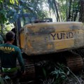 Od baterija do brze mode – ljudska glad za resursima dovela prašume i džungle do tačke pucanja
