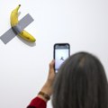 Nestala banana vredna 5,8 miliona evra: Francuski muzej podneo krivičnu prijavu