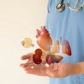 Skupština Srbije usvojila novi Zakon o transplantaciji ljudskih organa