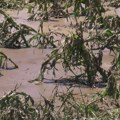 U ovim selima u Šumadiji grad naneo totalnu štetu na usevima i voću