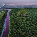 Reka u Argentini "preko noći" postala krvava: Stanovnici preplašeni VIDEO