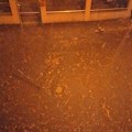 Velika bujica slila se u dvorište bolnice, vatrogasci postavljaju brane! Drama u Zagrebu