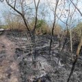 Izgoreli kuća i šljivik