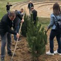 Grad Leskovac raspisao konkurs za sufinansiranje projekata u oblasti zaštite životne sredine