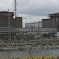 Psi plave boje primećeni u Černobilju: Bizarni snimci kruže mrežama, ljudi su šokirani