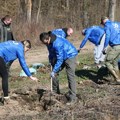 Компанија ВМГ (Вирелесс Медиа Гроуп), у сарадњи с компанијом ЈИСК, реализовала акцију озелењавања Бојчинске шуме