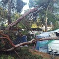 Pijavica uništila kamp naselje u Lošinju: Ima povređenih! Počupano 50 borova