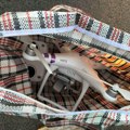 Pokušao dronom da unese pištolj u KPZ Niš: Policija ga presrela u taksiju