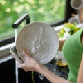 Svi dotrče kada zamiriše roštilj, ali posle ručka nekako misteriozno nestanu – a najgore vreba iz sudopere