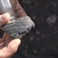 Bijelo Polje centar arheoloških istraživanja: Probijanjem puta do kamenoloma došli do značajnog otkrića (video)