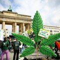 Nemačka legalizuje kanabis, ali otežava njegovu kupovinu