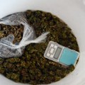 Policija u Boljevcu kod Kragujevčanina pronašla 283 grama marihuane