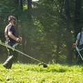 Drugi krug tretmana protiv krpelja u Nacionalnom parku Fruška gora planiran za četvrtak, 25. aprila
