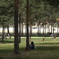 Danas sunčano, od ponedeljka porast temperatura