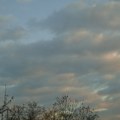 Posle podne i uveče grmljavinske nepogode - pod narandžastim meteo alarmom Bačka, Banat, Srem i Beograd